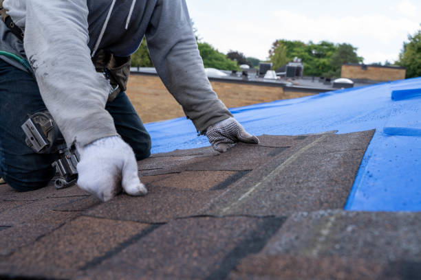 Best Emergency Roof Repair  in The Hills, NJ
