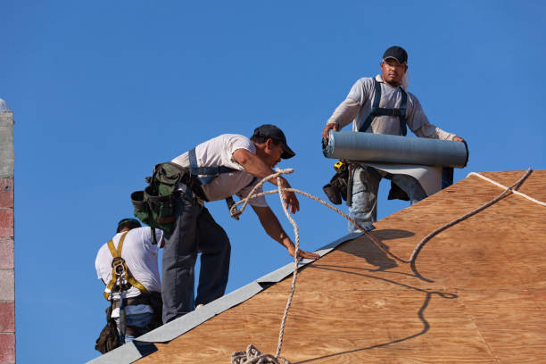 Best Roof Leak Repair  in The Hills, NJ