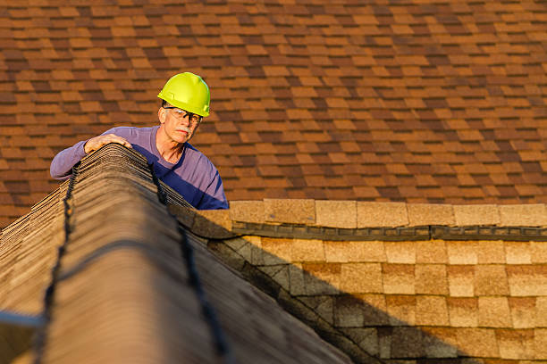 Best Roof Maintenance Services  in The Hills, NJ