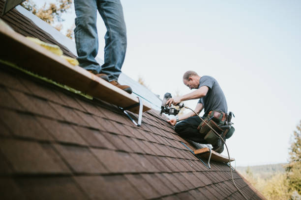 Best Gutter Installation and Roofing  in The Hills, NJ